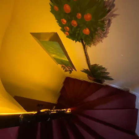 ホテル Kadikoey Linda *